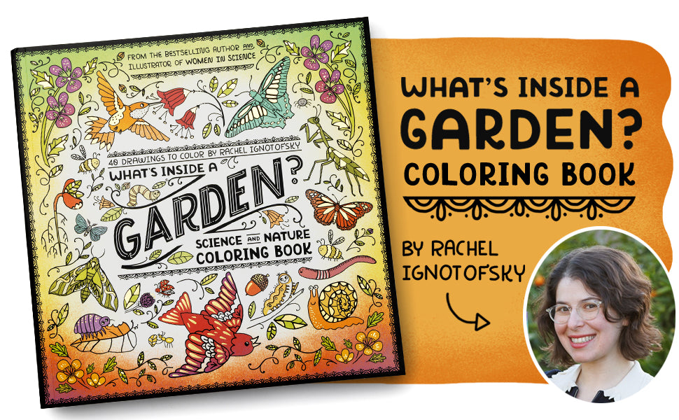 Book - What's Inside a Garden?: Science and Nature Coloring Book: 40 Drawings to Color by Rachel Ignotofsky (Paperback)