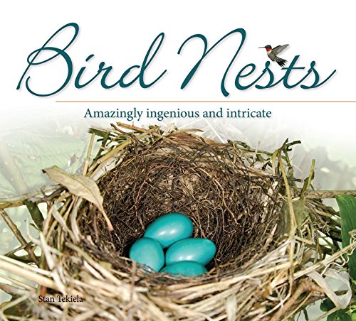 Book - Bird Nests: Amazingly Ingenious and Intricate (Nature Appreciation) Paperback by Stan Tekiela (Paperback)