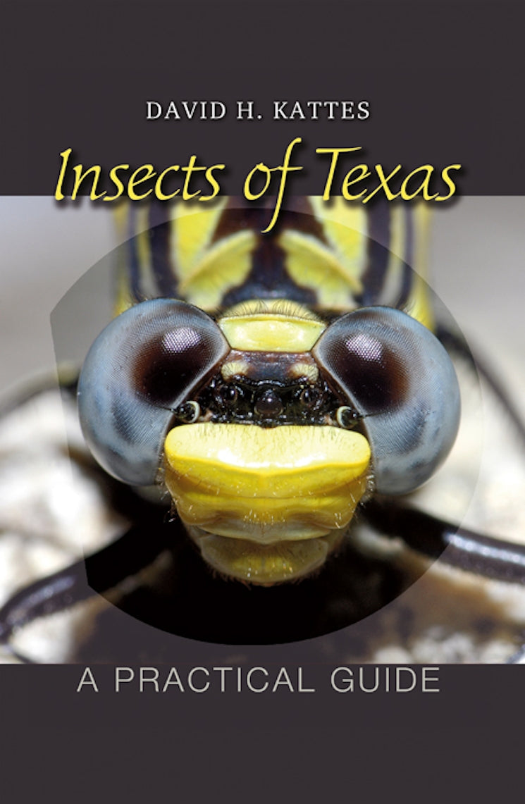 Book - Insects of Texas: A Practical Guide (Volume 39) (W. L. Moody Jr. Natural History Series) by David H. Kattes (Flexibound)