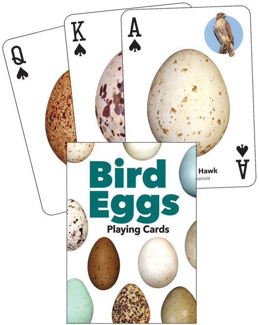 Playing Cards - Bird Eggs