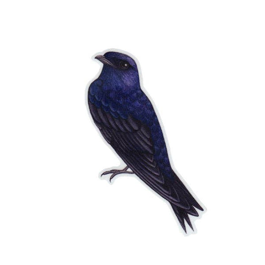 Sticker - Purple Martin