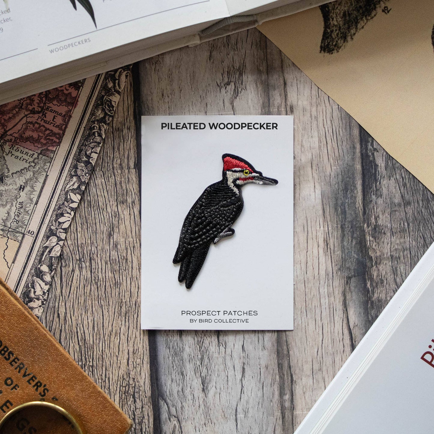 Bird Patch - Pileated Woodpecker (#3 of collection)