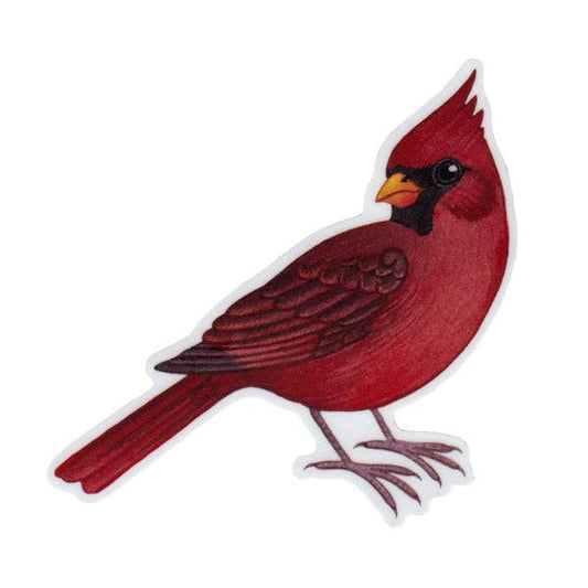 Sticker - Northern Cardinal (Male)