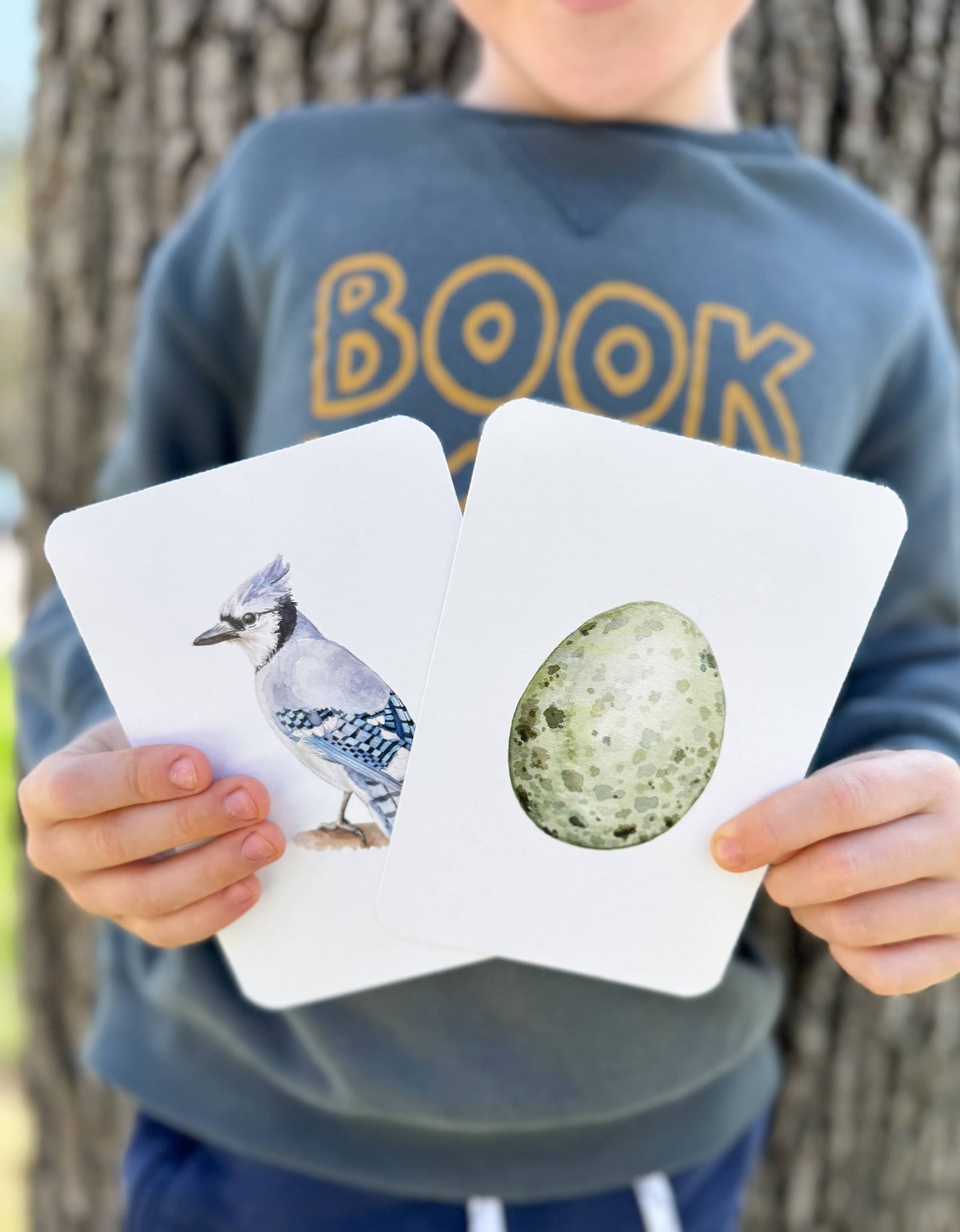 Montessori Learning Cards - Backyard Birds and Eggs