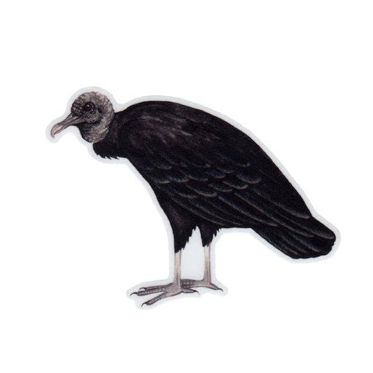 Sticker - Black Vulture (Hunched)