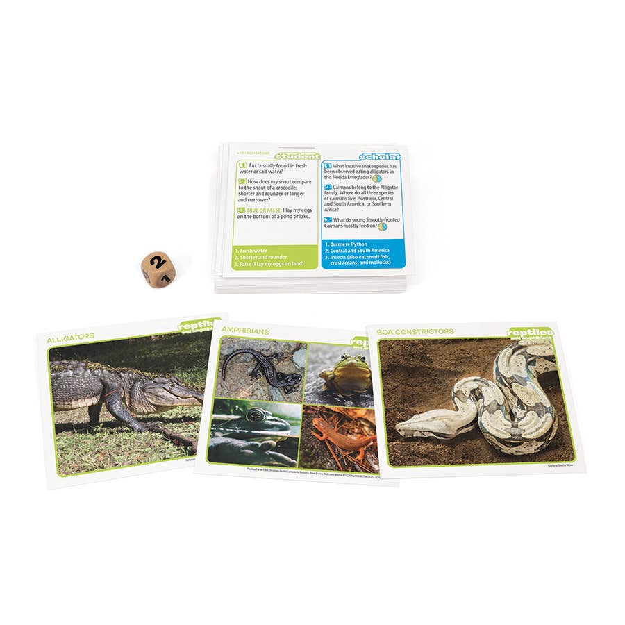 Game - Prof. Noggin Reptiles and Amphibians Card Game