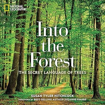 Book - Into the Forest: The Secret Language of Trees by Susan Tyler Hitchcock (Hardback)