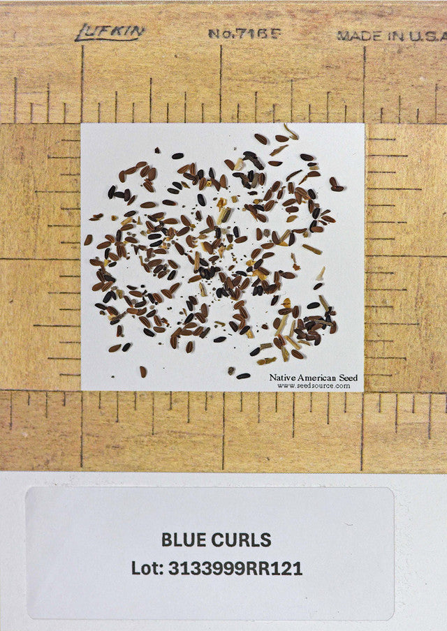 Plants for Birds - Blue Curls - Small Pack (Native American Seed)