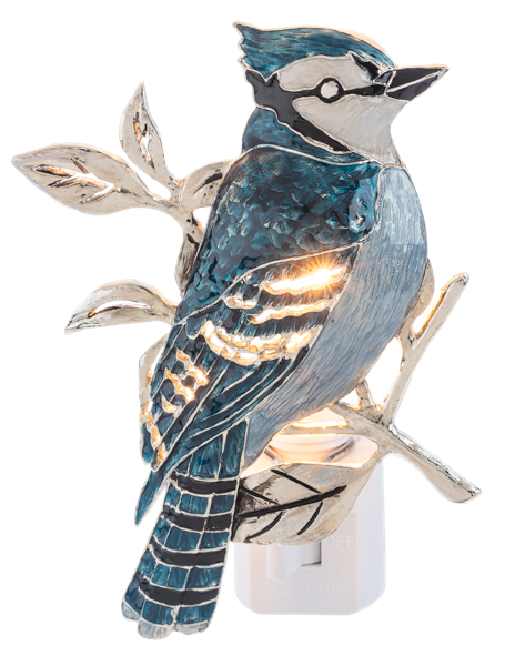 Night Light - Blue Jay