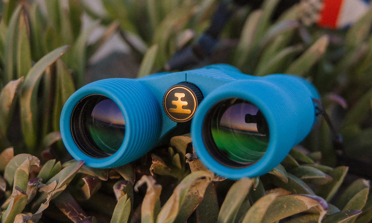 Field Issue 8x32 Waterproof Binoculars in Corsican Blue by Nocs Provisions