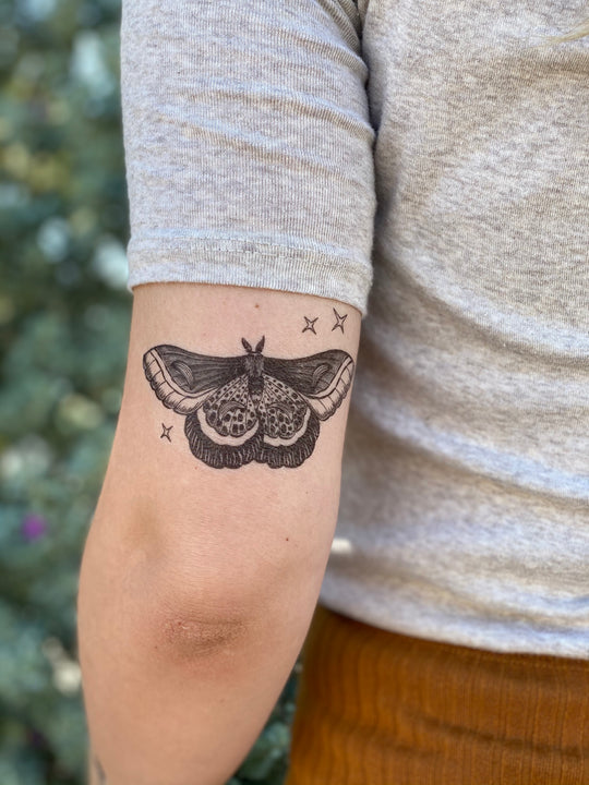 Temporary Tattoo - Night Moth (1 pack)