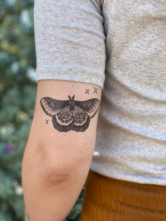 Temporary Tattoo - Night Moth (1 pack)