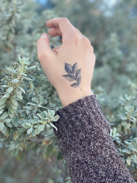 Temporary Tattoo - Forest Forage (1 pack)