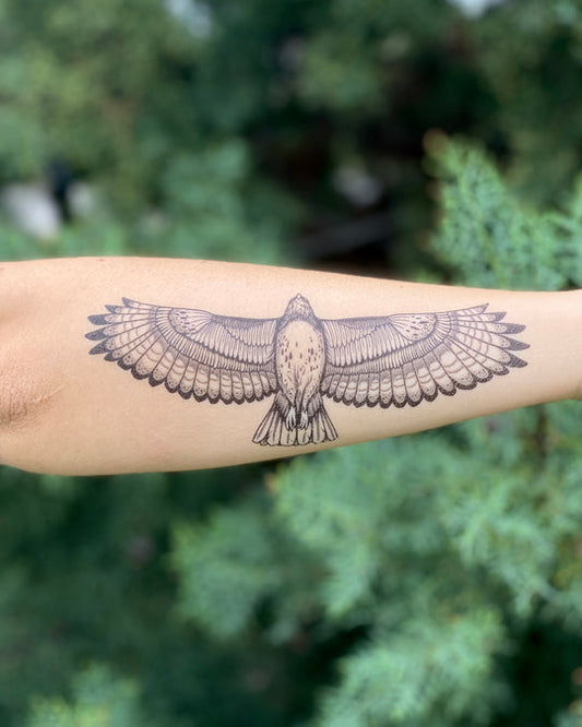 Temporary Tattoo - Hawk (1 pack)