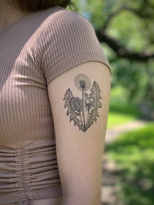 Temporary Tattoo - Dandelion (1 pack)