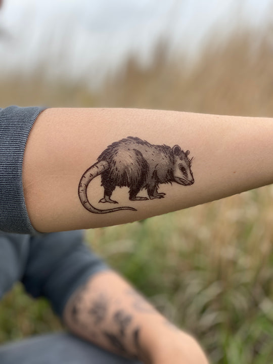 Temporary Tattoo - Opossum (1 pack)