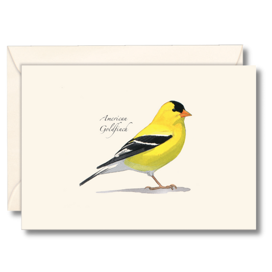 Paper - Boxed Notecards - American Goldfinch (Earth Sky + Water)