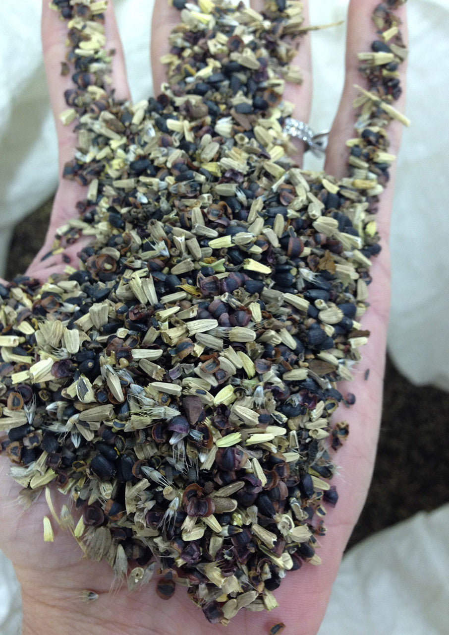 Plants for Birds - Pollinator Essentials Mix - Small Pack (Native American Seed)