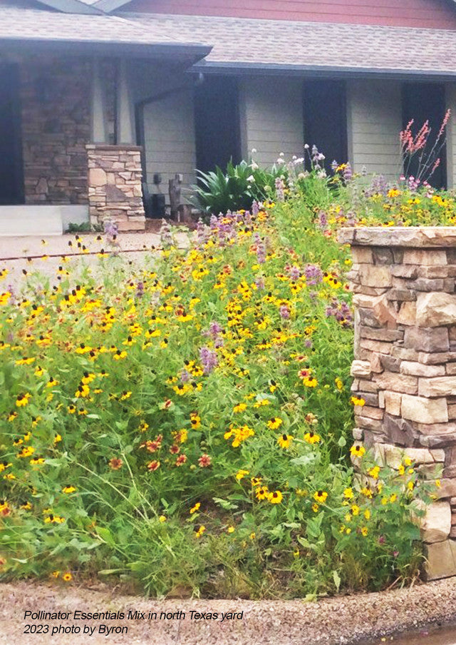 Plants for Birds - Pollinator Essentials Mix - Small Pack (Native American Seed)