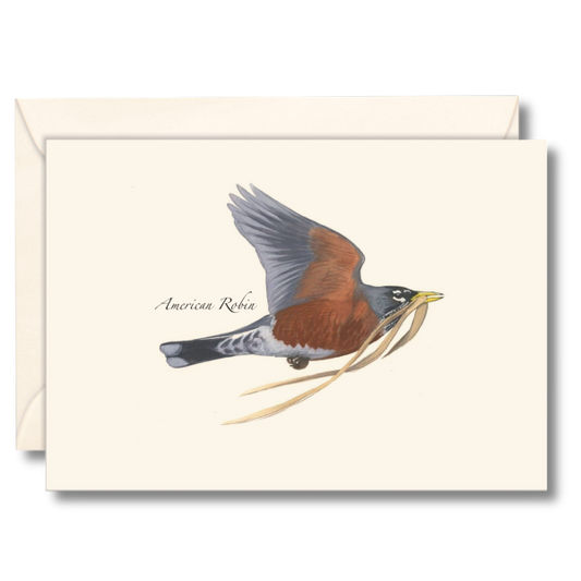 Paper - Boxed Notecards - Robin in Flight (Earth Sky + Water)