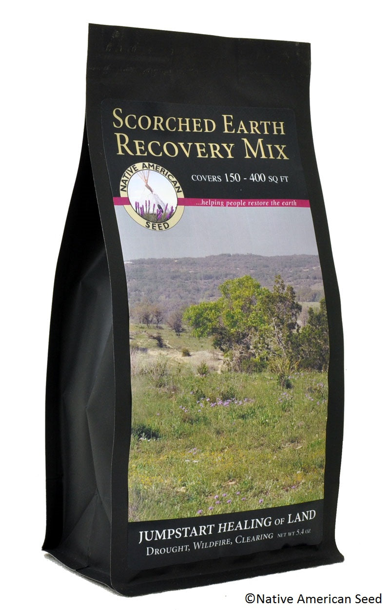 Plants for Birds - Scorched Earth Recovery Mix - EcoSystem in a Bag - Large Pack (Native American Seed)