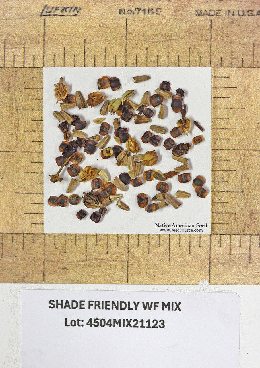 Plants for Birds - Shade-Friendly Wildflower Mix - Small Pack (Native American Seed)