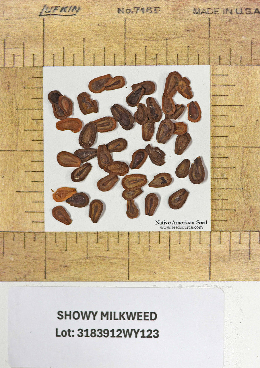 Plants for Birds - Showy Milkweed - Small Pack (Native American Seed)