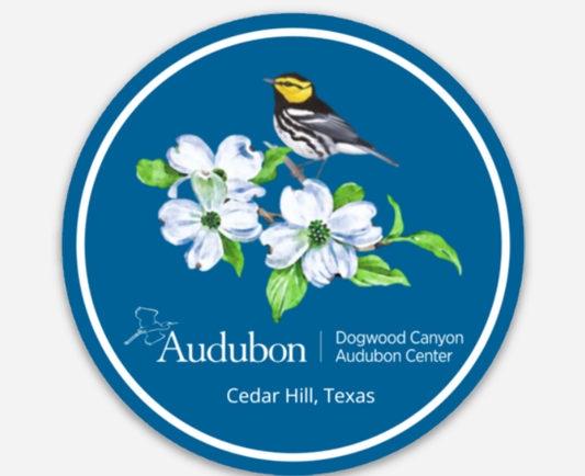 Sticker - Logo - Golden-cheeked warbler on Flowering dogwood