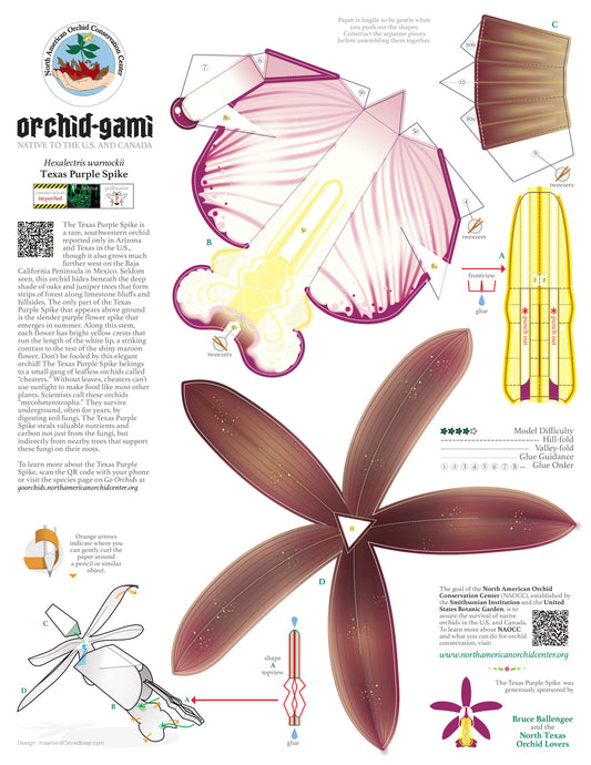 Paper - Orchid-Gami (Orchid Origami) Sheet - Texas Purple Spike (Hexalectris warnockii)