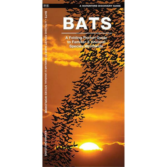 Folding Guide - Bats: A Folding Pocket Guide to Familiar & Unusual Species Worldwide