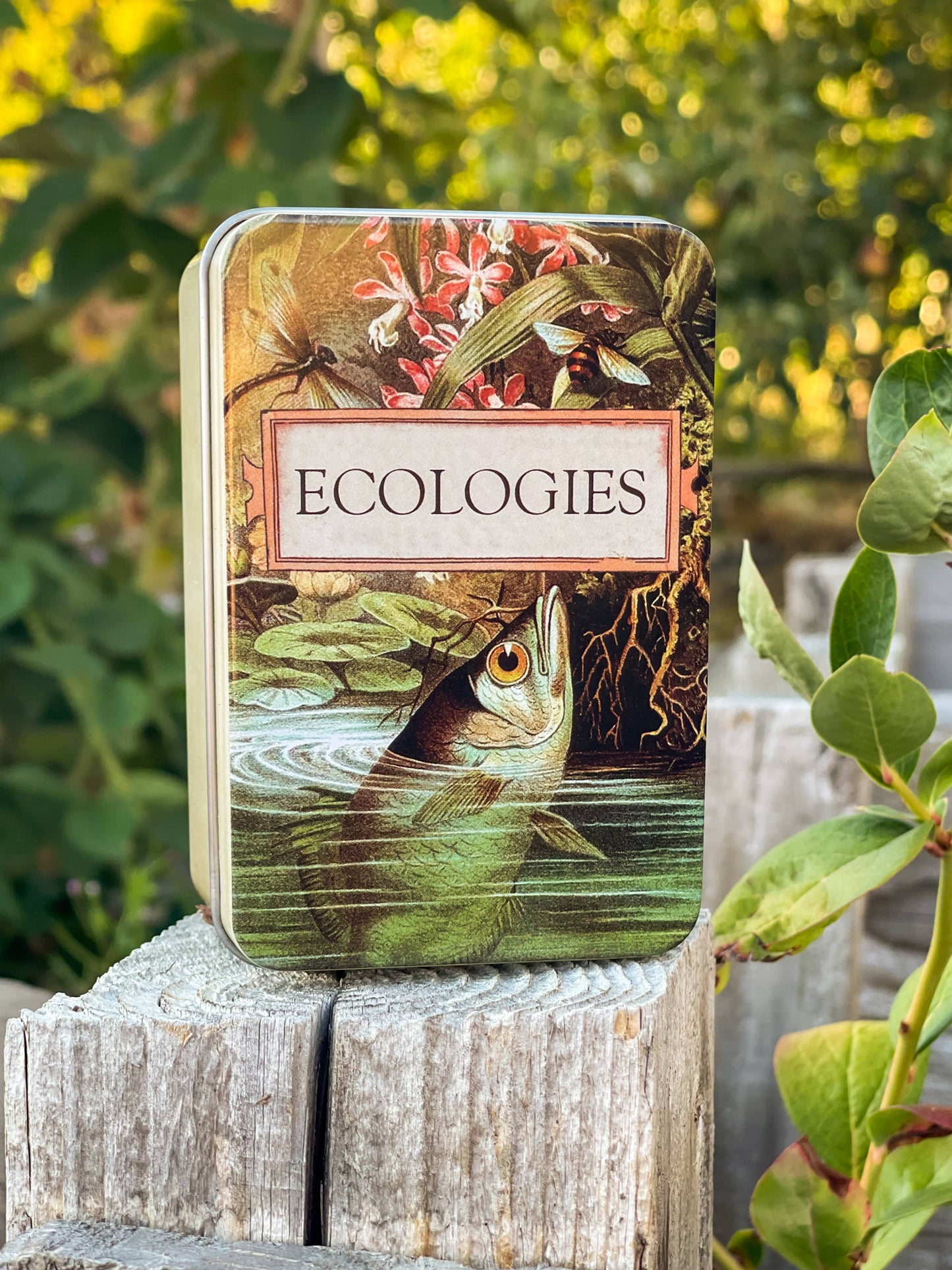 Games - Ecologies Card Game Metal Tin with Archerfish Image