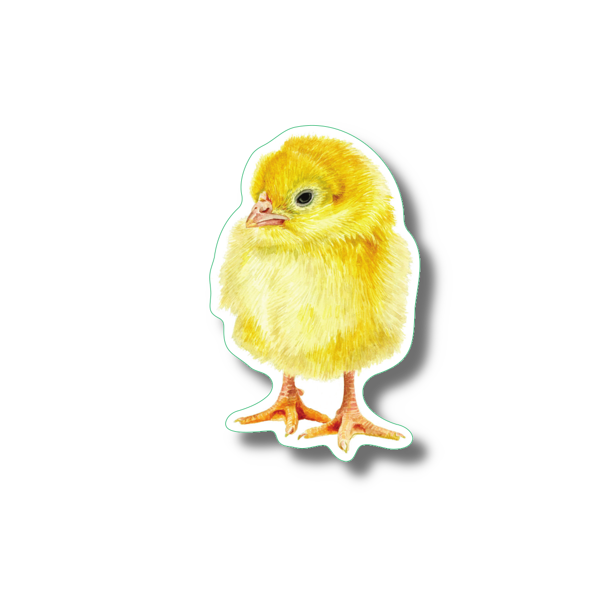 Sticker - Chick Nature Sticker, 2.5" x 3.5"