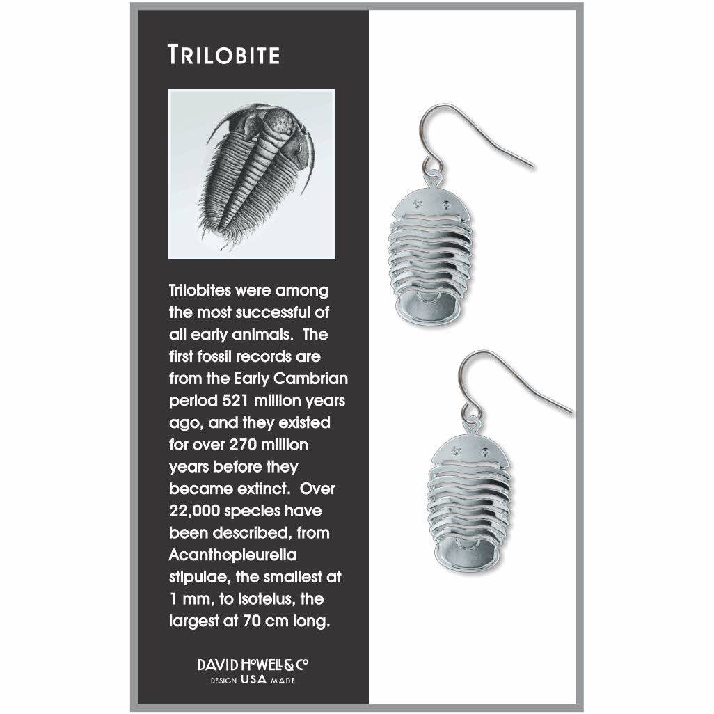 Boxed Jewelry - Trilobite Earrings