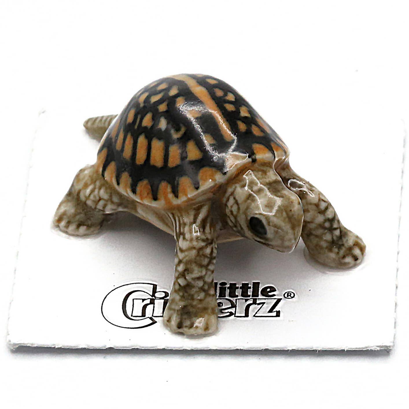 Little Critterz Porcelain Miniature - "Dom" Box Turtle