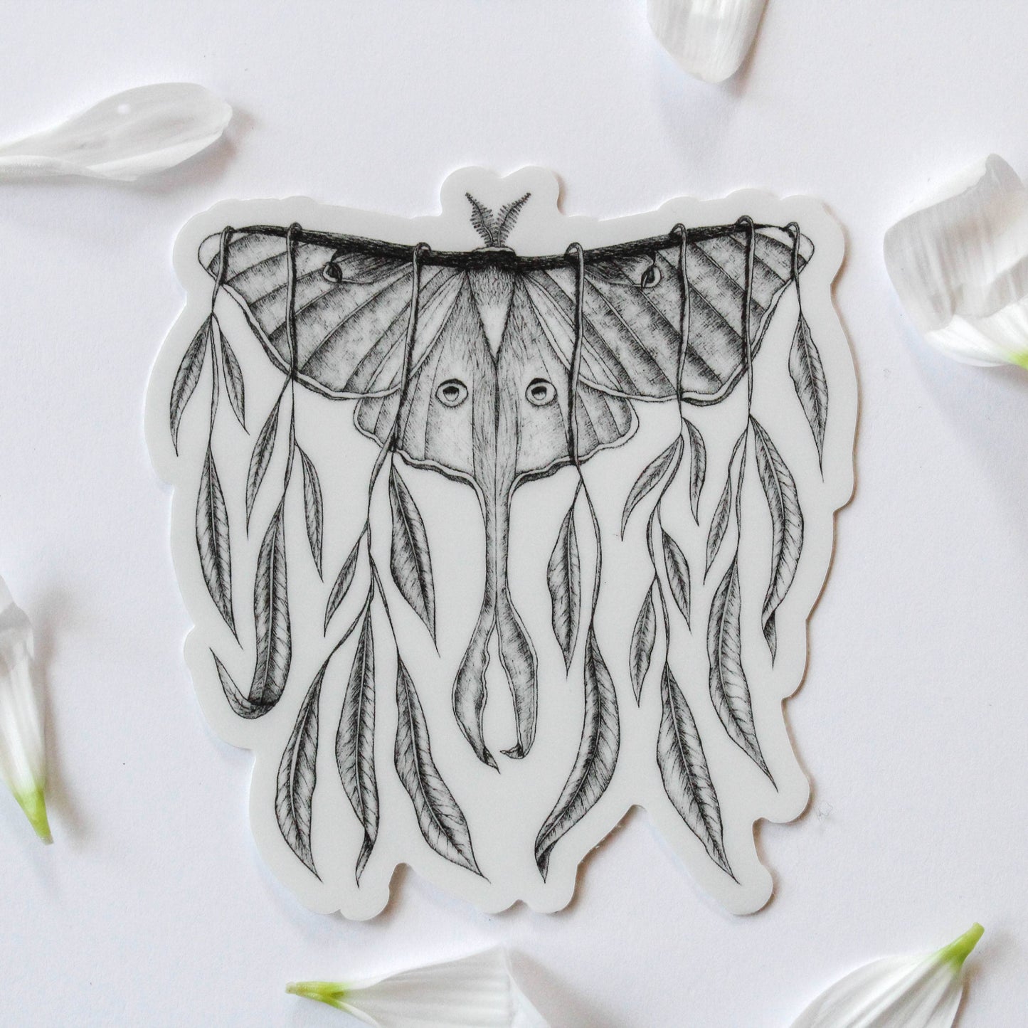 Sticker - Mackenzie Myrick - Luna Moth