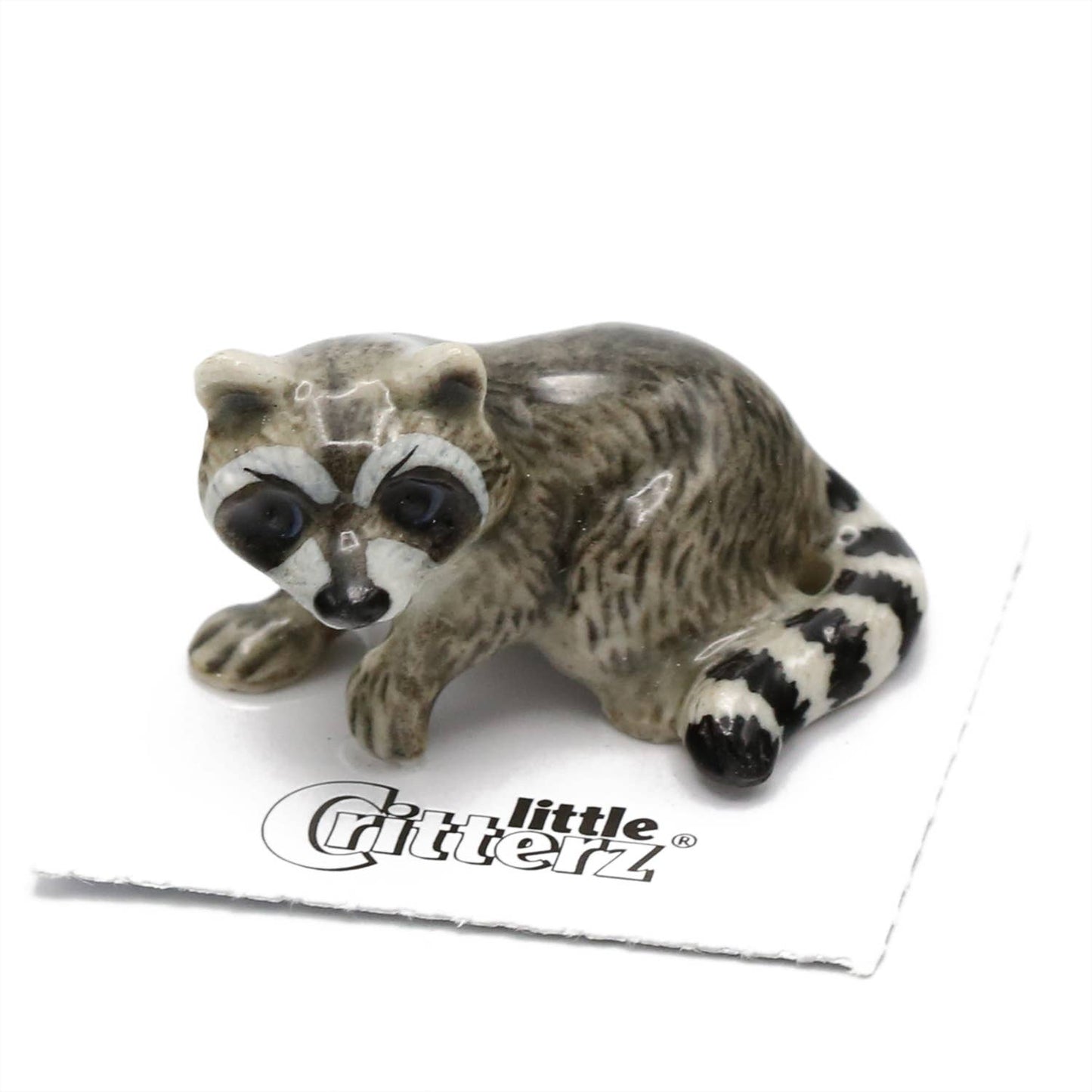 Little Critterz Porcelain Miniature - "Bandit" Raccoon