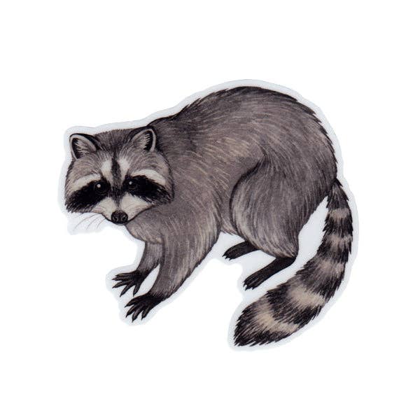 Sticker - Raccoon