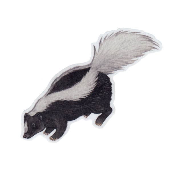 Sticker - Striped Skunk