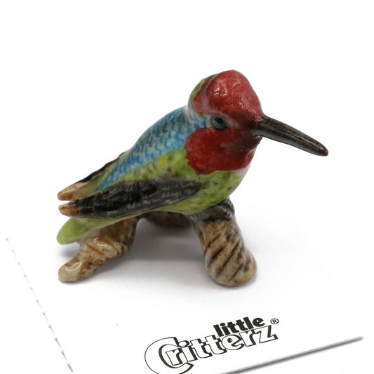 Little Critterz Porcelain Miniature - "Anna" Anna's Hummingbird