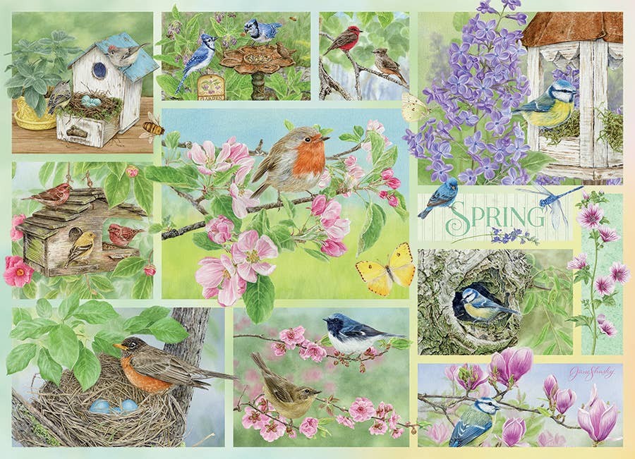 Puzzle - Garden Birds in Spring (500-Piece)