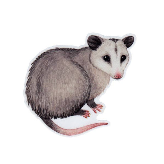 Sticker - Opossum