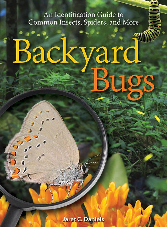 Book - Backyard Bugs: An Identification Guide to Common Insects, Spiders, and More by Jaret C. Daniels (Paperback)