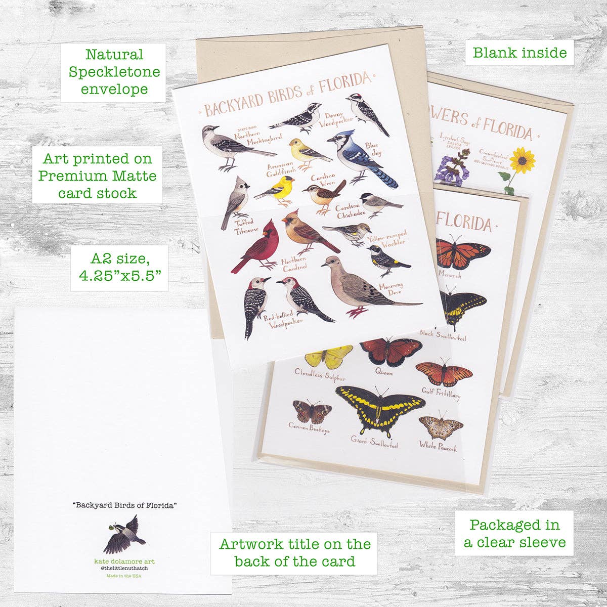 Greeting Card - Backyard Birds of Texas