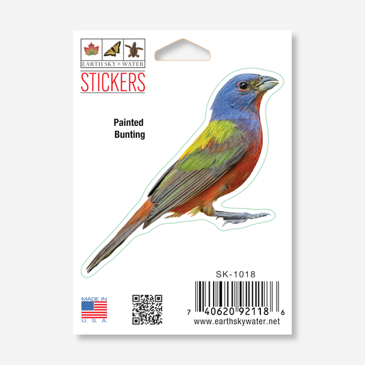 Sticker - Painted Bunting Nature Sticker, 2.5" x 3.5"