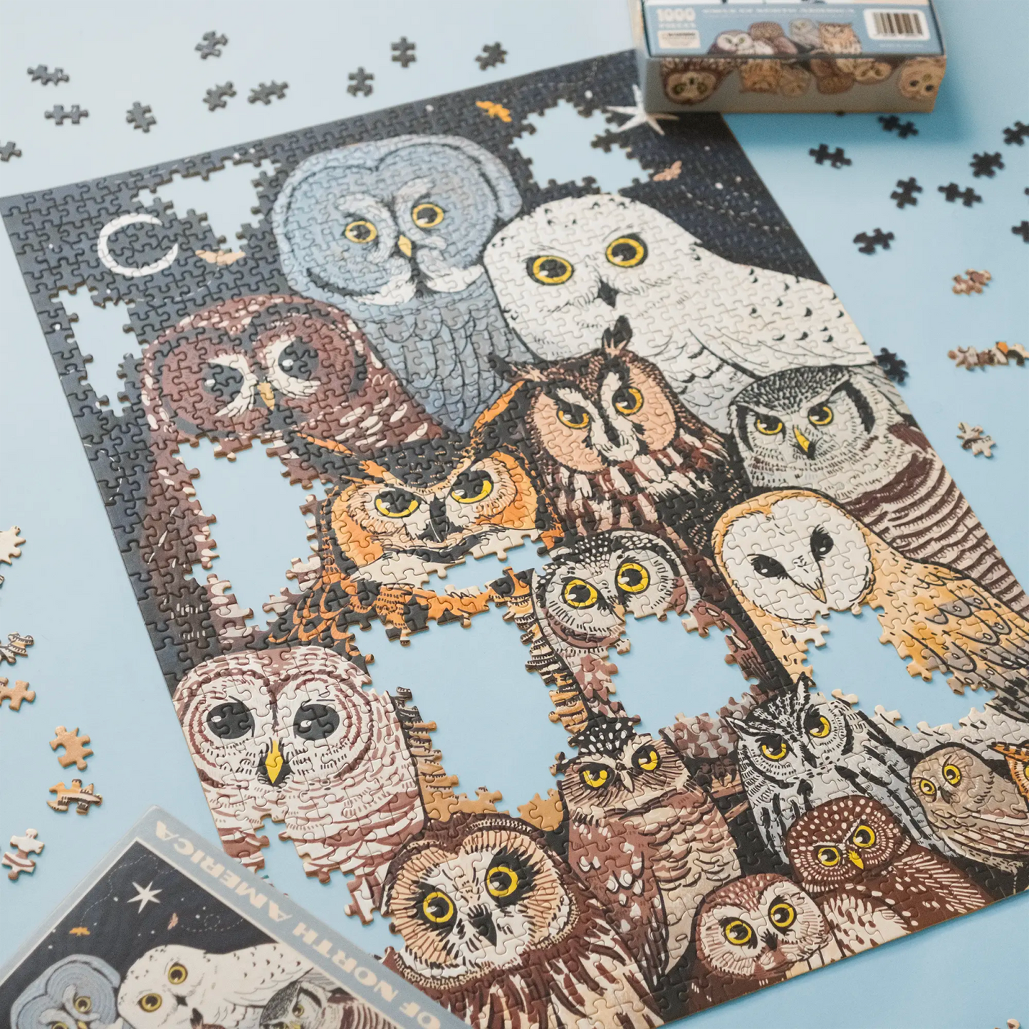 Puzzle - Owls of North America (1000 Pieces)