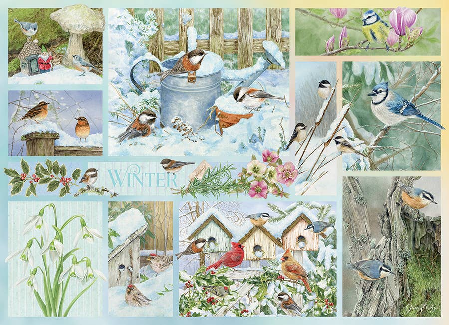 Puzzle - Garden Birds in Winter (500-Piece)
