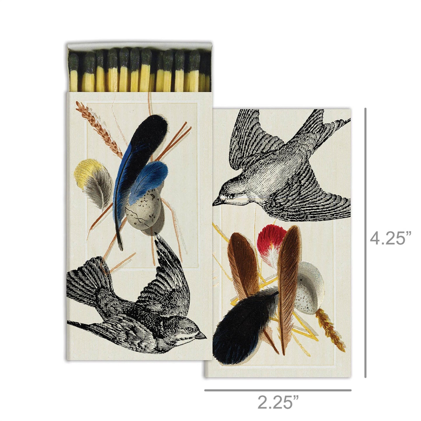 Matches - Sparrows & Specimens (4.25")