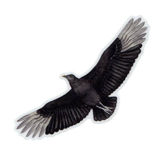 Sticker - Black Vulture Flying