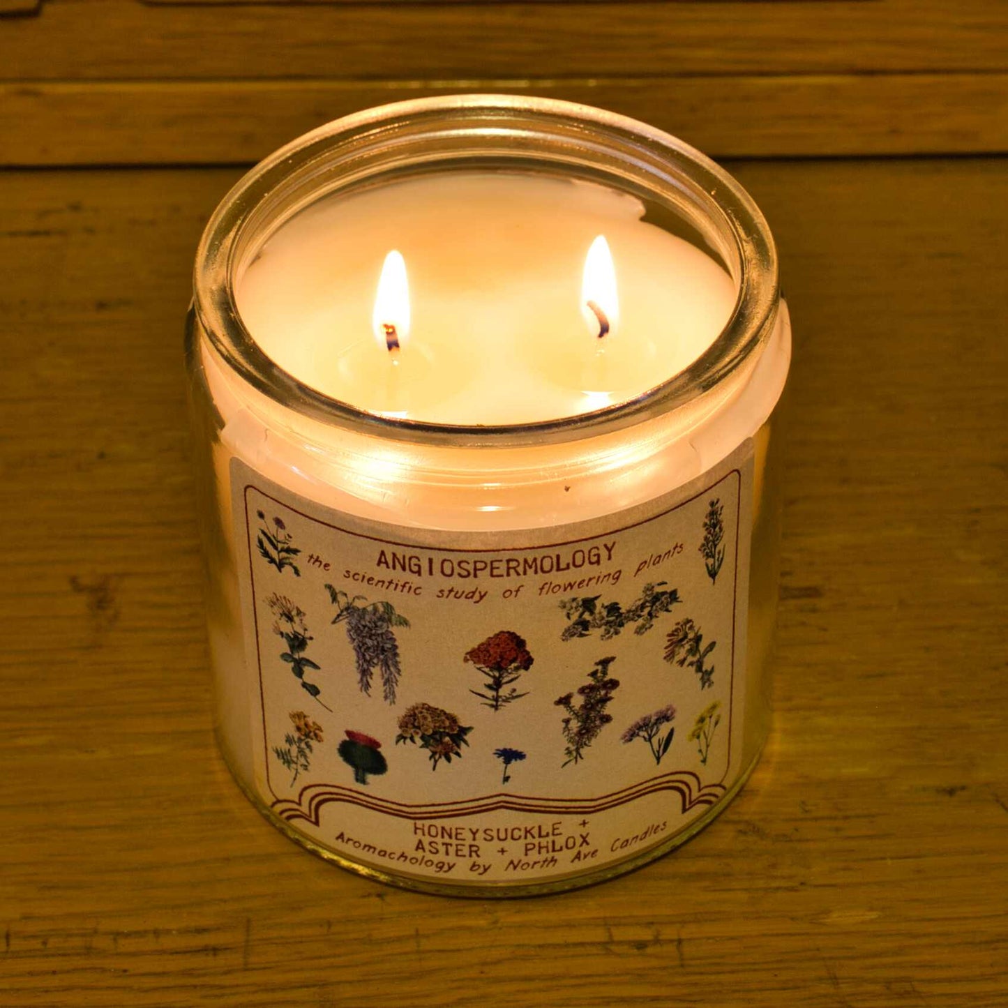 Candle - Aromachology / Bugs / Entomology (Moonflower Nectar and Sugared Citrus)