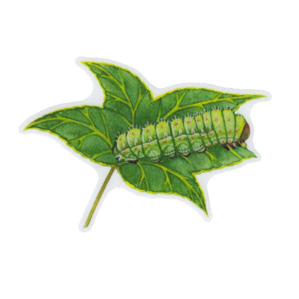 Sticker - Luna Moth Caterpillar